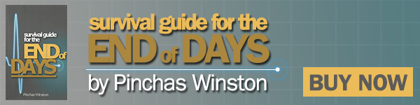 Store-SurvivalGuide-Winston-600WIDE