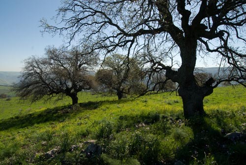 The Golan Heights. (Photo: Yehoshua Halevi)