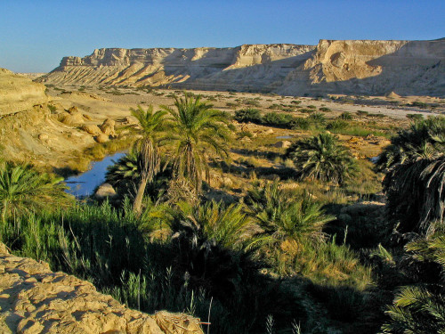 An oasis [Image: Wikimedia Commons]