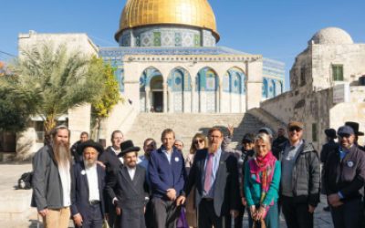 Tuly Jpost